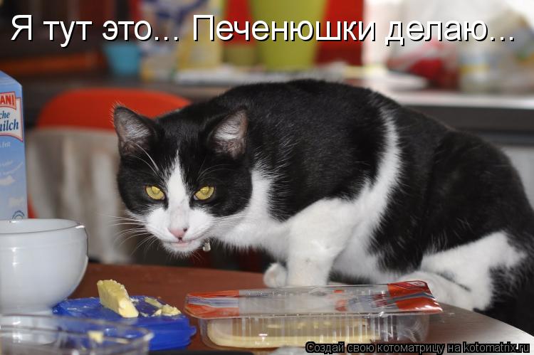 Я тут это... Печенюшки делаю...... Котоматрица: Я тут это... Печенюшки делаю...