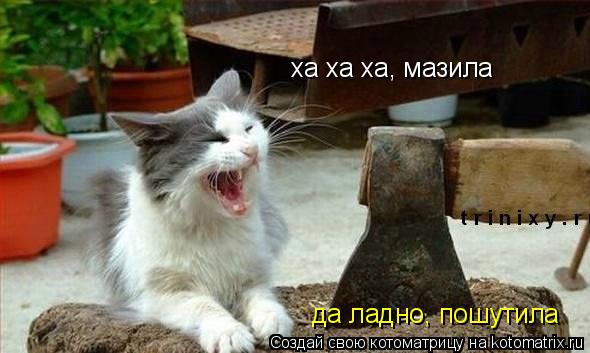 ха ха ха, мазила да ладно, пошутила... Котоматрица: ха ха ха, мазила да ладно, пошутила