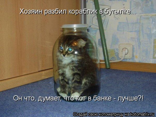 Хозяин разбил кораблик в бутылке... Он что, думает, что кот в банке - лучше?!... Котоматрица: Хозяин разбил кораблик в бутылке... Он что, думает, что кот в банке - лучше?!