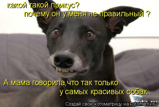 какой такой прикус? А мама говорила,что так только у самых красивых собак.. почему он у меня не пра... Котоматрица: какой такой прикус? А мама говорила,что так только у самых красивых собак.. почему он у меня не правильный ?