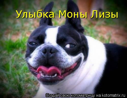 Улыбка Моны Лизы... Котоматрица: Улыбка Моны Лизы