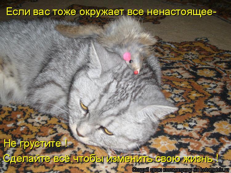 Сделайте всё,чтобы изменить свою жизнь ! Не грустите ! Если вас тоже окружает все ненастоящее-... Котоматрица: Сделайте всё,чтобы изменить свою жизнь ! Не грустите ! Если вас тоже окружает все ненастоящее-