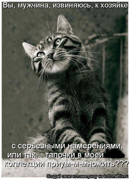 с серьёзными намерениями, или так... тапочки в моей коллекции приум-м-множить??? Вы, мужчина, извиняю... Котоматрица: с серьёзными намерениями, или так... тапочки в моей коллекции приум-м-множить??? Вы, мужчина, извиняюсь, к хозяйке