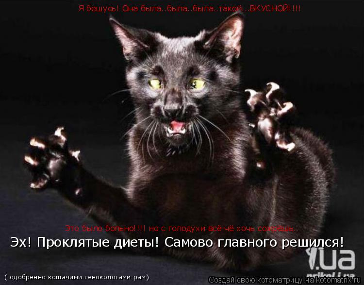 Я бешусь! Она была..была..была..такой...ВКУСНОЙ!!!! Это было больно!!!! но с голодухи всё чё хочь ... Котоматрица: Я бешусь! Она была..была..была..такой...ВКУСНОЙ!!!! Это было больно!!!! но с голодухи всё чё хочь сожрёшь.. Эх! Проклятые диеты! Самово главного