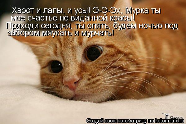 Хвост и лапы, и усы! Э-Э-Эх, Мурка ты мое счастье не виданной красы! Приходи сегодня, ты опять, буд... Котоматрица: Хвост и лапы, и усы! Э-Э-Эх, Мурка ты мое счастье не виданной красы! Приходи сегодня, ты опять, будем ночью под забором мяукать и мурчать!