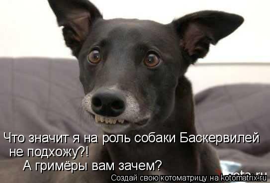 Что значит я на роль собаки Баскервилей не подхожу?! А гримёры вам зачем?... Котоматрица: Что значит я на роль собаки Баскервилей не подхожу?! А гримёры вам зачем?