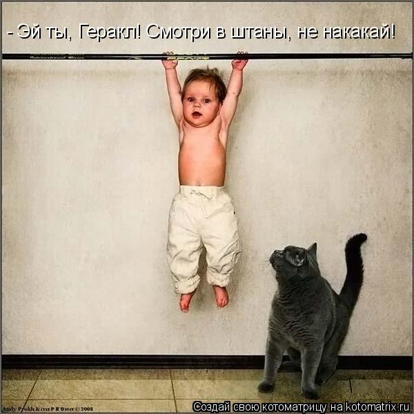 - Эй ты, Геракл! Смотри в штаны, не накакай!... Котоматрица: - Эй ты, Геракл! Смотри в штаны, не накакай!