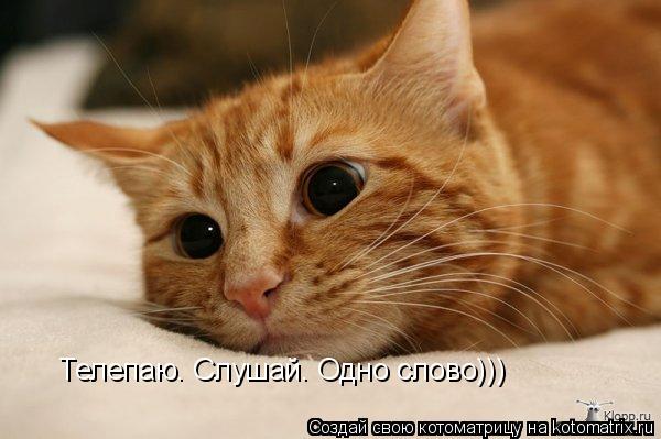 Телепаю. Слушай. Одно слово)))... Котоматрица: Телепаю. Слушай. Одно слово)))