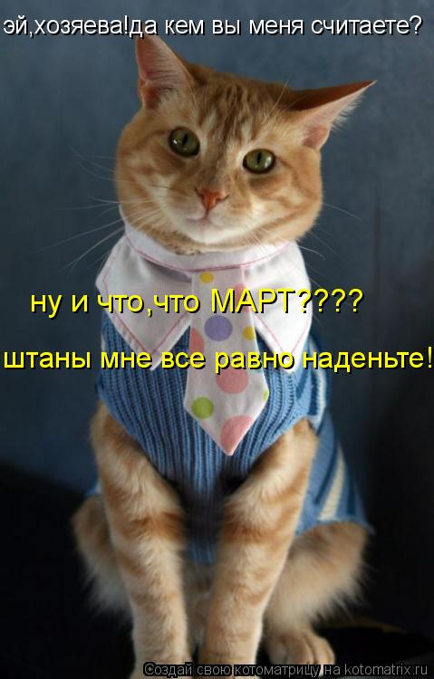 ну и что,что МАРТ???? штаны мне все равно наденьте! эй,хозяева!да кем вы меня считаете?... Котоматрица: ну и что,что МАРТ???? штаны мне все равно наденьте! эй,хозяева!да кем вы меня считаете?