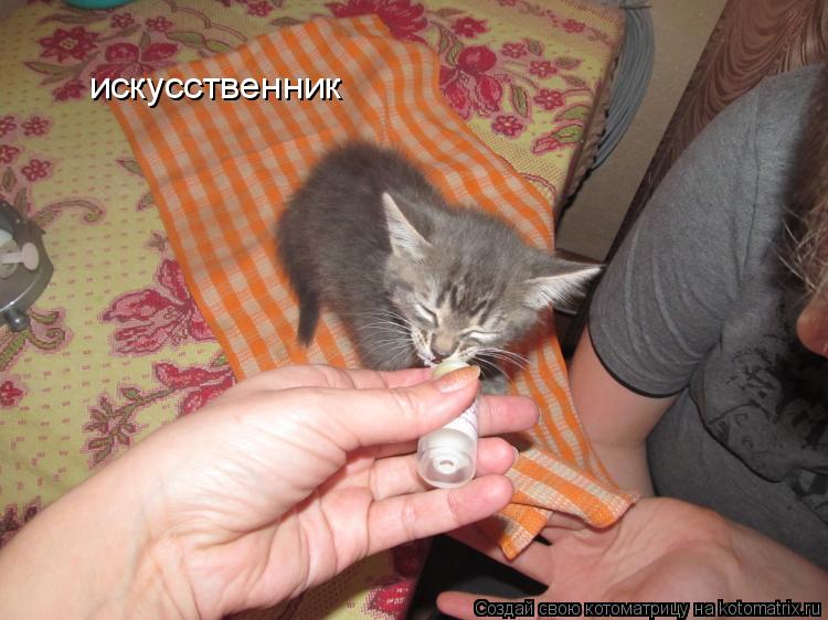 искусственник... Котоматрица: искусственник