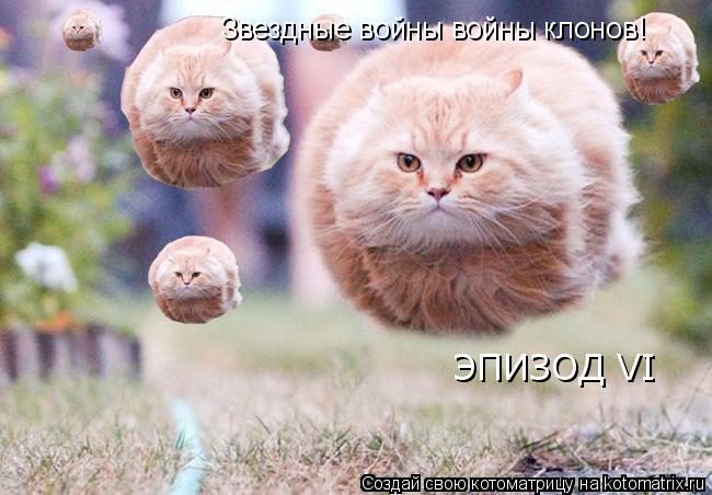 Котоматрица: Звездные войны войны клонов!  ЭПИЗОД VI