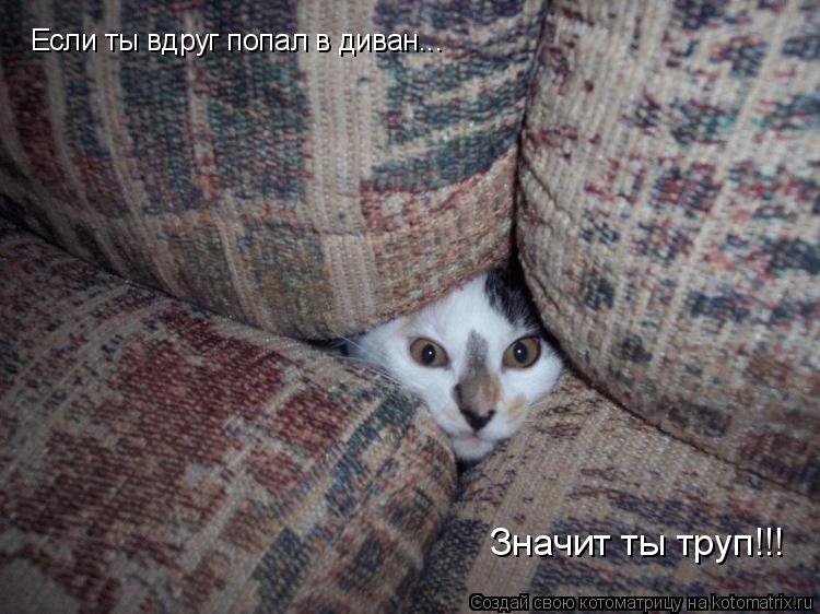 Котоматрица: Если ты вдруг попал в диван... Значит ты труп!!!