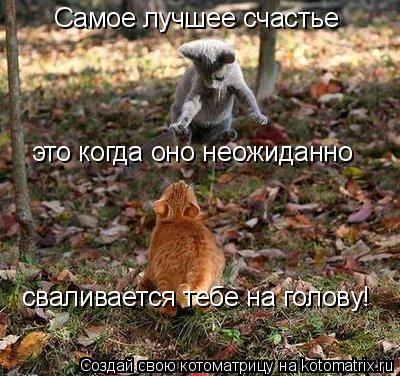 Котоматрица: Самое лучшее счастье это когда оно неожиданно сваливается тебе на голову!