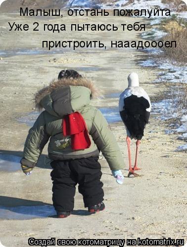 Малыш, отстань пожалуйта Уже 2 года пытаюсь тебя пристроить, нааадоооел... Котоматрица: Малыш, отстань пожалуйта Уже 2 года пытаюсь тебя пристроить, нааадоооел