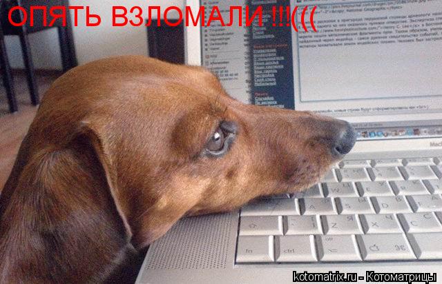 ОПЯТЬ ВЗЛОМАЛИ !!!(((... Котоматрица: ОПЯТЬ ВЗЛОМАЛИ !!!(((