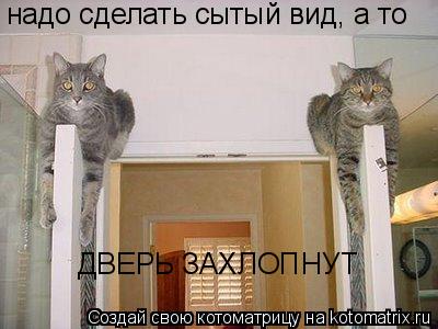 надо сделать сытый вид, а то ДВЕРЬ ЗАХЛОПНУТ... Котоматрица: надо сделать сытый вид, а то ДВЕРЬ ЗАХЛОПНУТ