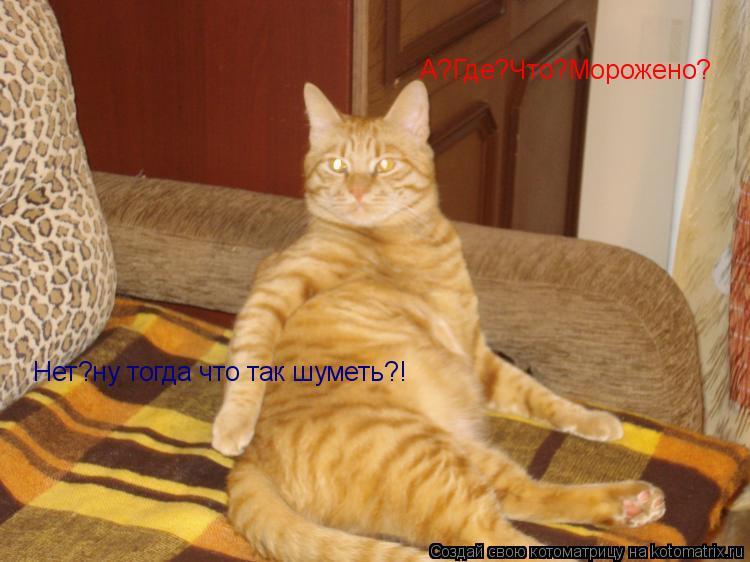 А?Где?Что?Морожено? Нет?ну тогда что так шуметь?!... Котоматрица: А?Где?Что?Морожено? Нет?ну тогда что так шуметь?!