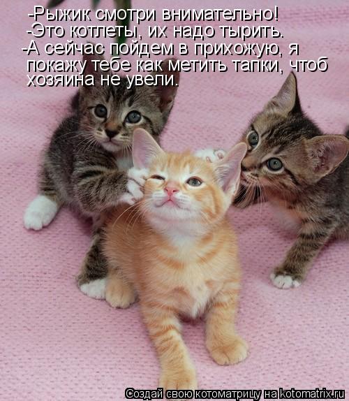 -Рыжик смотри внимательно! -Это котлеты, их надо тырить. -А сейчас пойдем в прихожую, я покажу т... Котоматрица: -Рыжик смотри внимательно! -Это котлеты, их надо тырить. -А сейчас пойдем в прихожую, я покажу тебе как метить тапки, чтоб хозяина не увели.