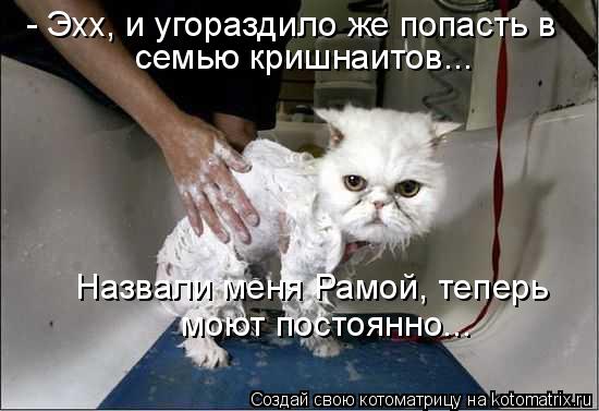 - Эхх, и угораздило же попасть в семью кришнаитов... Назвали меня Рамой, теперь моют постоянно...... Котоматрица: - Эхх, и угораздило же попасть в семью кришнаитов... Назвали меня Рамой, теперь моют постоянно...