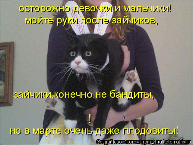 осторожно,девочки и мальчики! мойте руки после зайчиков, зайчики,конечно,не бандиты, но в марте очень... Котоматрица: осторожно,девочки и мальчики! мойте руки после зайчиков, зайчики,конечно,не бандиты, но в марте очень даже плодовиты! !