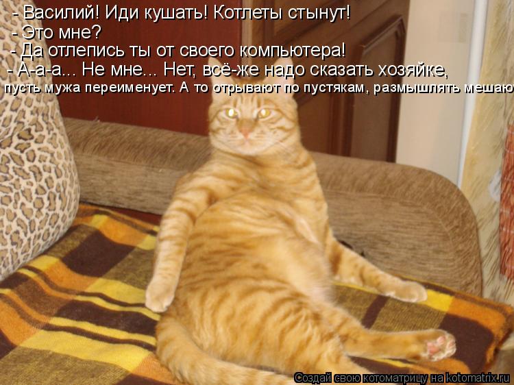 - Василий! Иди кушать! Котлеты стынут! - Это мне? - Да отлепись ты от своего компьютера! - А-а-а... Н... Котоматрица: - Василий! Иди кушать! Котлеты стынут! - Это мне? - Да отлепись ты от своего компьютера! - А-а-а... Не мне... Нет, всё-же надо сказать хозяйке, пусть