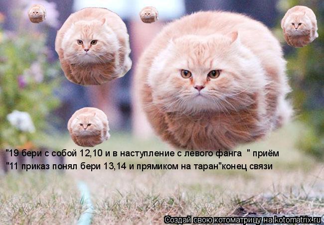 "19 бери с собой 12,10 и в наступление с левого фанга " приём "11 приказ понял бери 13,14 и прямиком... Котоматрица: "19 бери с собой 12,10 и в наступление с левого фанга " приём "11 приказ понял бери 13,14 и прямиком на таран"конец связи