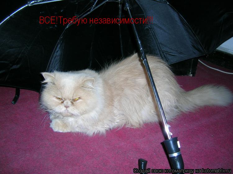 ВСЕ!Требую независимости!!!... Котоматрица: ВСЕ!Требую независимости!!!