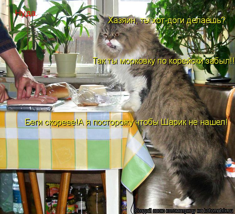 Хазяин, ты хот-доги делаешь? Ну,да. Так ты морковку по корейски забыл!!!!!!!! Беги скореее!А я постор... Котоматрица: Хазяин, ты хот-доги делаешь? Ну,да. Так ты морковку по корейски забыл!!!!!!!! Беги скореее!А я посторожу чтобы Шарик не нашел!