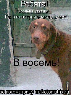 Ребята! Хозяева уехали! Так что встречаемся у меня! В восемь!... Котоматрица: Ребята! Хозяева уехали! Так что встречаемся у меня! В восемь!