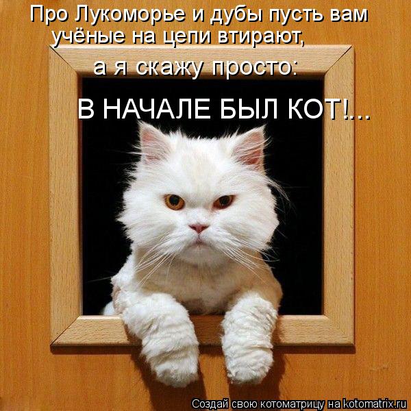 Про Лукоморье и дубы пусть вам учёные на цепи втирают, а я скажу просто: В НАЧАЛЕ БЫЛ КОТ!...... Котоматрица: Про Лукоморье и дубы пусть вам учёные на цепи втирают, а я скажу просто: В НАЧАЛЕ БЫЛ КОТ!...