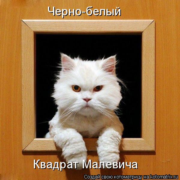 Черно-белый Квадрат Малевича... Котоматрица: Черно-белый Квадрат Малевича