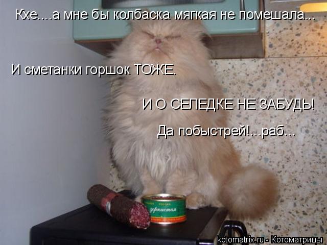Кхе....а мне бы колбаска мягкая не помешала... И сметанки горшок ТОЖЕ. И О СЕЛЕДКЕ НЕ ЗАБУДЬ! Да поб... Котоматрица: Кхе....а мне бы колбаска мягкая не помешала... И сметанки горшок ТОЖЕ. И О СЕЛЕДКЕ НЕ ЗАБУДЬ! Да побыстрей!...раб...