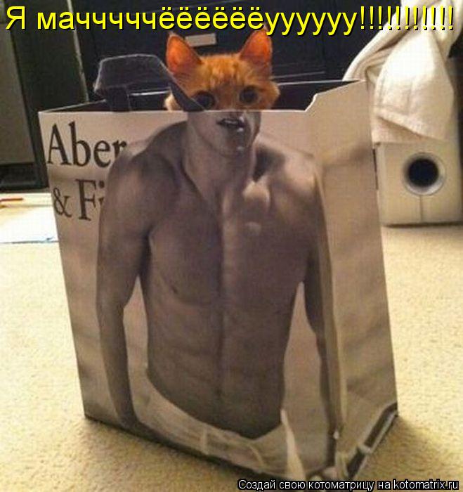 Я мачччччёёёёёёуууууу!!!!!!!!!!!... Котоматрица: Я мачччччёёёёёёуууууу!!!!!!!!!!!