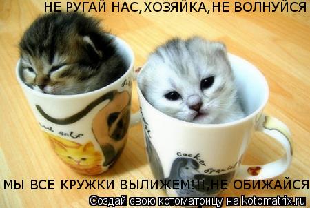 НЕ РУГАЙ НАС,ХОЗЯЙКА,НЕ ВОЛНУЙСЯ МЫ ВСЕ КРУЖКИ ВЫЛИЖЕМ!!!,НЕ ОБИЖАЙСЯ!... Котоматрица: НЕ РУГАЙ НАС,ХОЗЯЙКА,НЕ ВОЛНУЙСЯ МЫ ВСЕ КРУЖКИ ВЫЛИЖЕМ!!!,НЕ ОБИЖАЙСЯ!