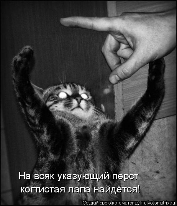На всяк указующий перст когтистая лапа найдётся!... Котоматрица: На всяк указующий перст когтистая лапа найдётся!