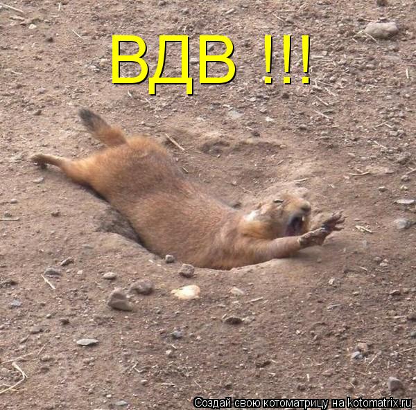 ВДВ !!!... Котоматрица: ВДВ !!!
