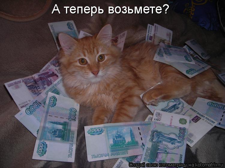 А теперь возьмете?... Котоматрица: А теперь возьмете?