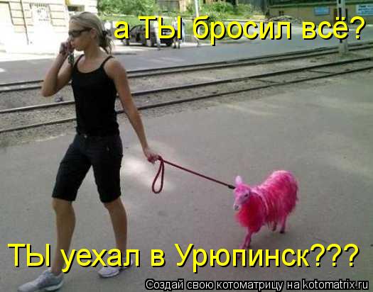 а ТЫ бросил всё? ТЫ уехал в Урюпинск???... Котоматрица: а ТЫ бросил всё? ТЫ уехал в Урюпинск???