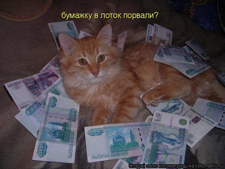 бумажку в лоток порвали?... Котоматрица: бумажку в лоток порвали?