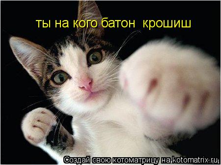 ты на кого батон крошиш... Котоматрица: ты на кого батон крошиш