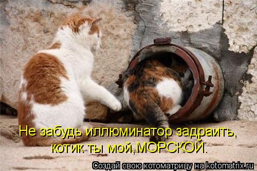 Не забудь иллюминатор задраить, котик ты мой,МОРСКОЙ.... Котоматрица: Не забудь иллюминатор задраить, котик ты мой,МОРСКОЙ.