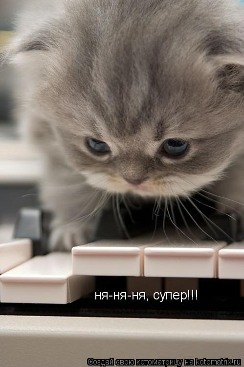 ня-ня-ня, супер!!!... Котоматрица: ня-ня-ня, супер!!!