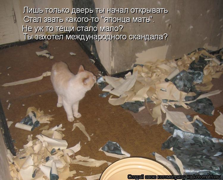 Лишь только дверь ты начал открывать Не уж то тёщи стало мало? Стал звать какого-то "японца мать". Ты... Котоматрица: Лишь только дверь ты начал открывать Не уж то тёщи стало мало? Стал звать какого-то "японца мать". Ты захотел международного скандала?