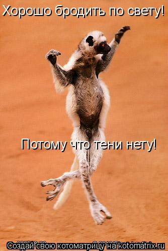 Хорошо бродить по свету! Потому что тени нету!... Котоматрица: Хорошо бродить по свету! Потому что тени нету!