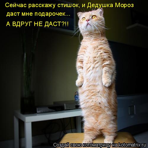Сейчас расскажу стишок, и Дедушка Мороз даст мне подарочек... А ВДРУГ НЕ ДАСТ?!!... Котоматрица: Сейчас расскажу стишок, и Дедушка Мороз даст мне подарочек... А ВДРУГ НЕ ДАСТ?!!