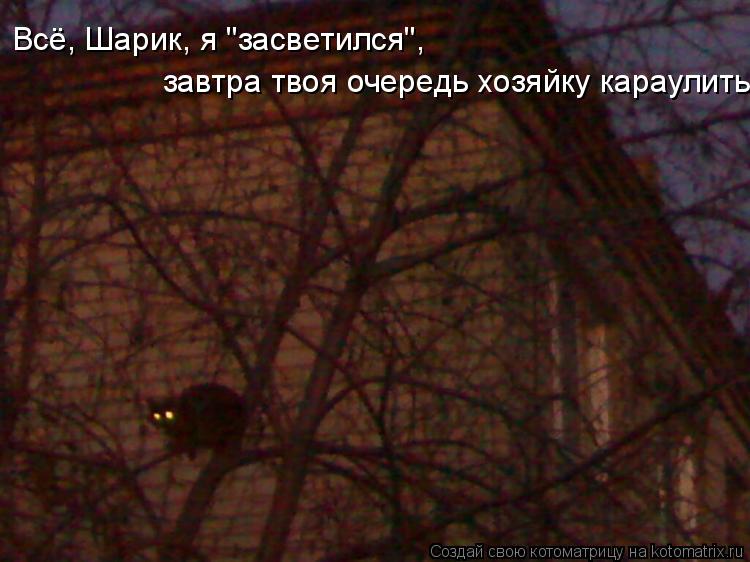 завтра твоя очередь хозяйку караулить Всё, Шарик, я "засветился",... Котоматрица: завтра твоя очередь хозяйку караулить Всё, Шарик, я "засветился",