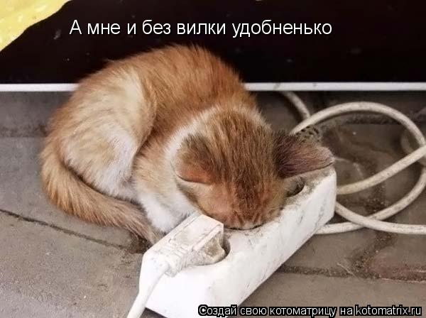 А мне и без вилки удобненько... Котоматрица: А мне и без вилки удобненько