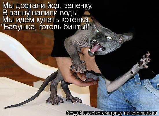 Мы достали йод, зеленку, В ванну налили воды. Мы идем купать котенка. "Бабушка, готовь бинты!"... Котоматрица: Мы достали йод, зеленку, В ванну налили воды. Мы идем купать котенка. "Бабушка, готовь бинты!"