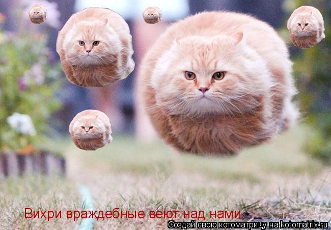 Вихри враждебные веют над нами...... Котоматрица: Вихри враждебные веют над нами...
