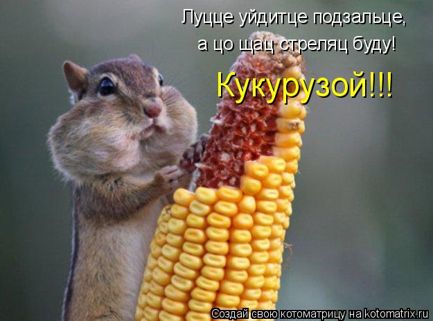 Луцце уйдитце подзальце, а цо щац стреляц буду! Кукурузой!!!... Котоматрица: Луцце уйдитце подзальце, а цо щац стреляц буду! Кукурузой!!!